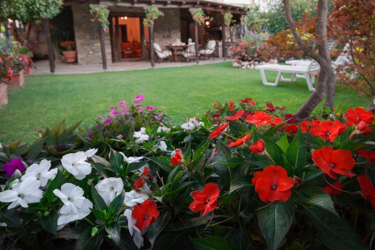 Villa Begonia By The Sea Koropí Kültér fotó